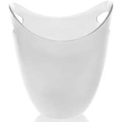 Biradlı Bottle Bucket, 22.2x21.6x26.6 cm, Transparent - 1