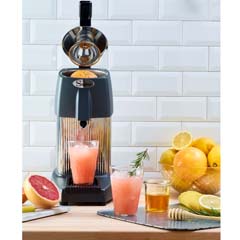 Santos Orange Juicer, NO-10 - 4