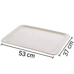 Thermoset Tray 53x37 cm White Glossy - 2